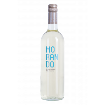 Chardonnay del Veneto igt 'Morando'