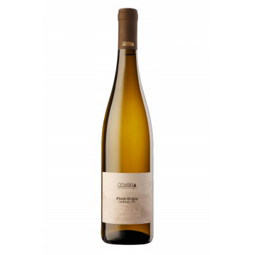 Pinot Grigio Trentino doc 'Cembra'